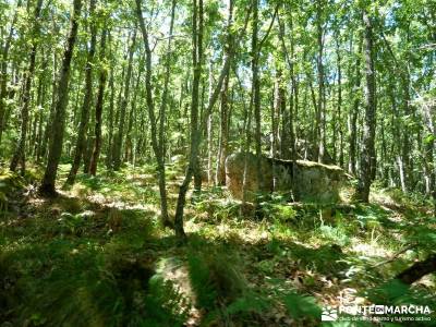 Pinares Navaluenga; viajes en el puente del pilar;fotos de la pedriza;tarjeta federativa;el sendero